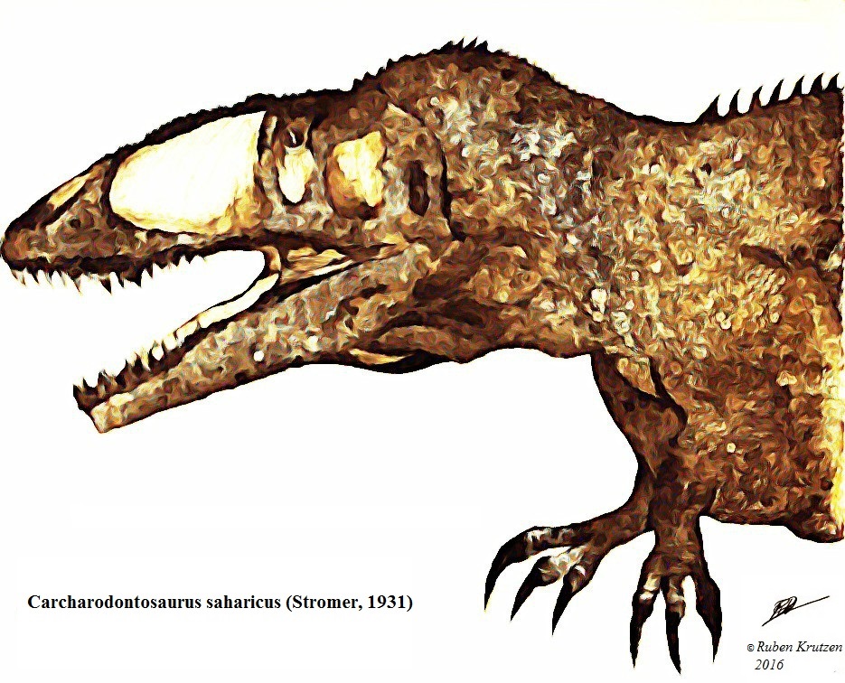 CarcharodontosaurusdrawingbewerktRubenKrutzen.jpg